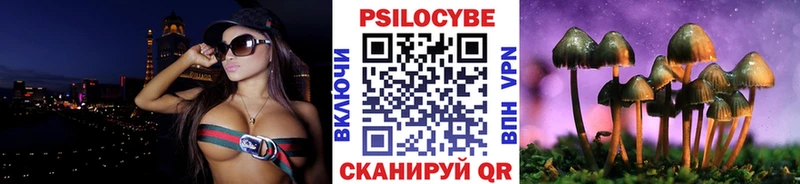 Купить  Рославль  Псилоцибиновые грибы прущие грибы 